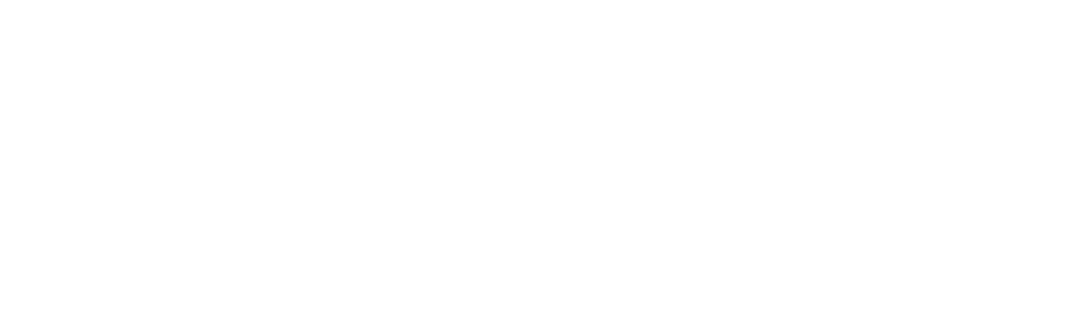 Surge Studio